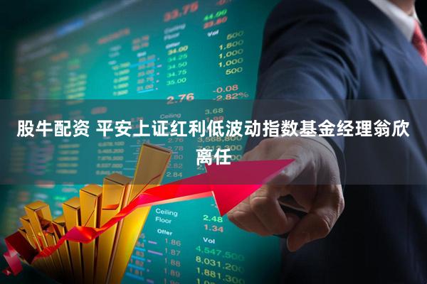 股牛配资 平安上证红利低波动指数基金经理翁欣离任